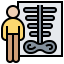 Bone density icon 64x64