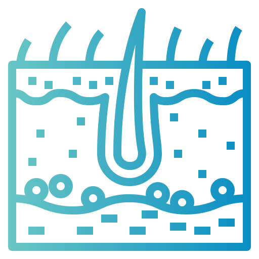 Epidermis icon