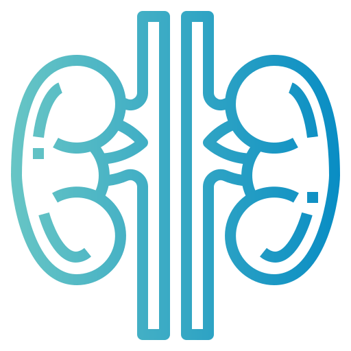 Kidneys icon