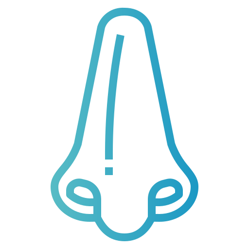 Nose icon