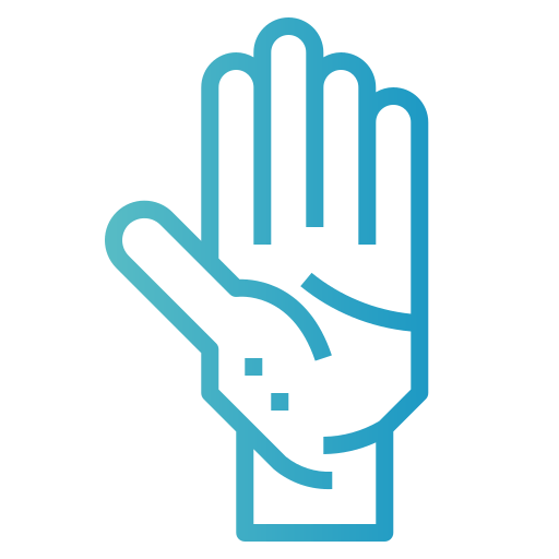 Palm icon