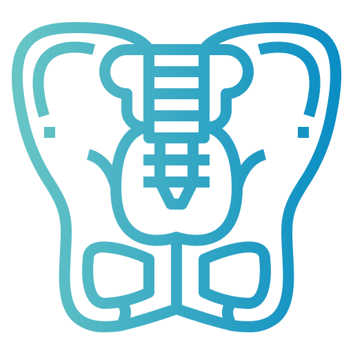 Pelvis icon