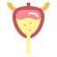 Bladder アイコン 64x64