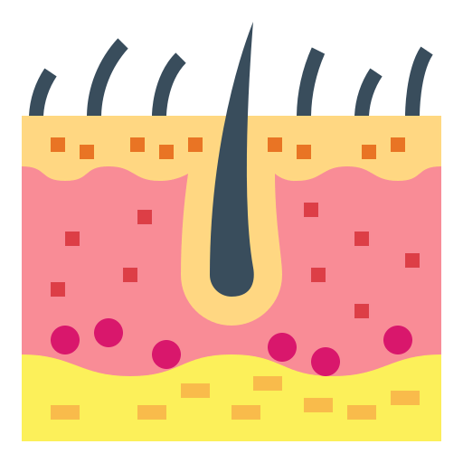 Epidermis icon