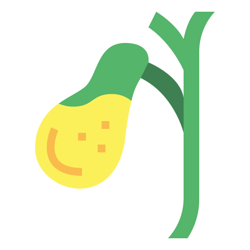 Gallbladder icon