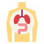 Human organ biểu tượng 64x64