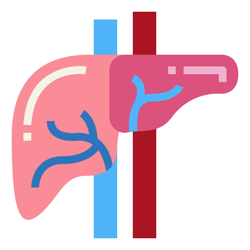 Liver icon
