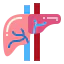 Liver Symbol 64x64