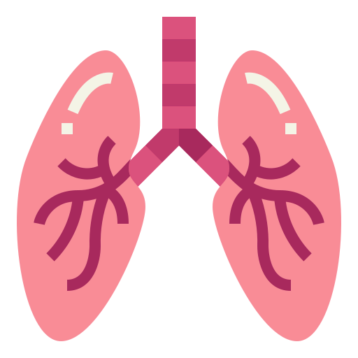Lungs icon