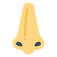 Nose icon 64x64