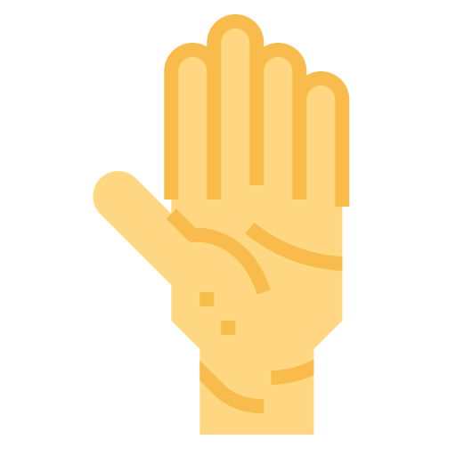 Palm icon