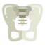 Pelvis icon 64x64