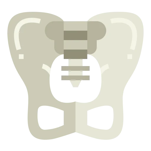 Pelvis icon