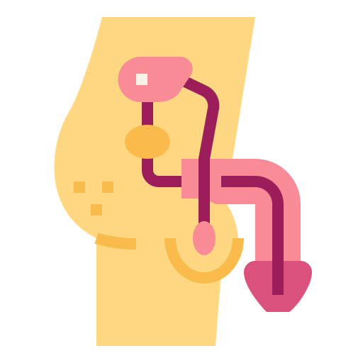 Penis icon