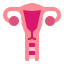 Uterus icon 64x64