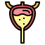 Bladder icon 64x64