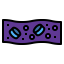 Cells icon 64x64