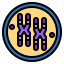 Chromosome icon 64x64