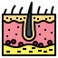 Epidermis icon 64x64
