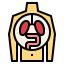 Human organ biểu tượng 64x64