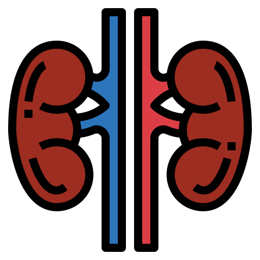 Kidneys icon