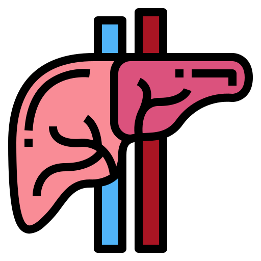 Liver icon