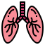 Lungs icon 64x64