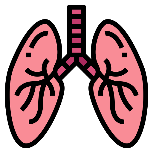 Lungs icon