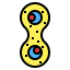 Mitosis icon 64x64