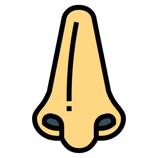 Nose icon