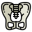Pelvis icon 64x64