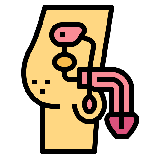 Penis icon