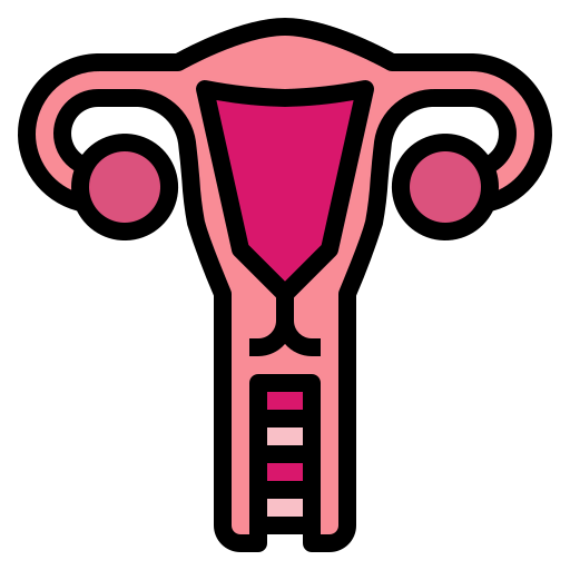Uterus icon