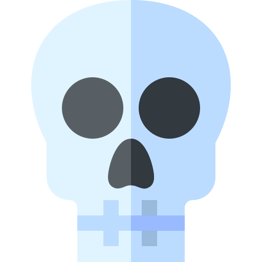 Skull icon