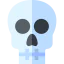 Skull icon 64x64
