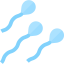 Spermatozoon アイコン 64x64