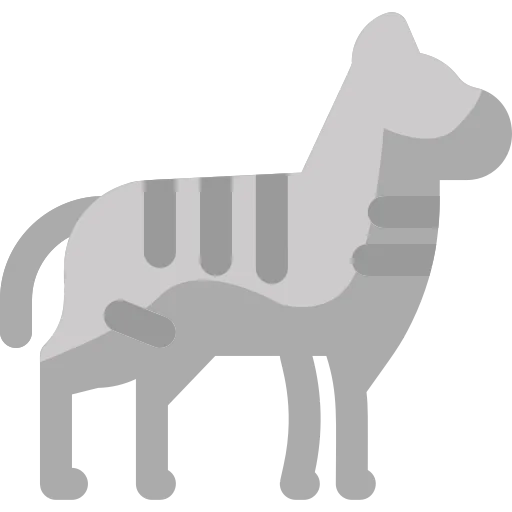Zebra icon