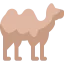 Camel icon 64x64