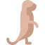 Meerkat Symbol 64x64