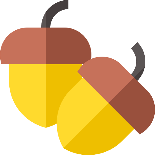 Nuts icon