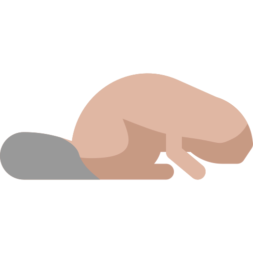 Beaver icon