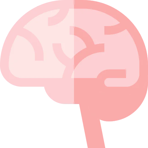 Brain icon