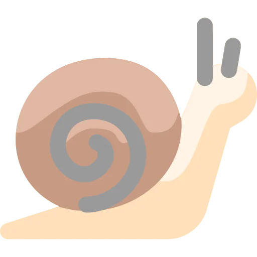 Snail icon
