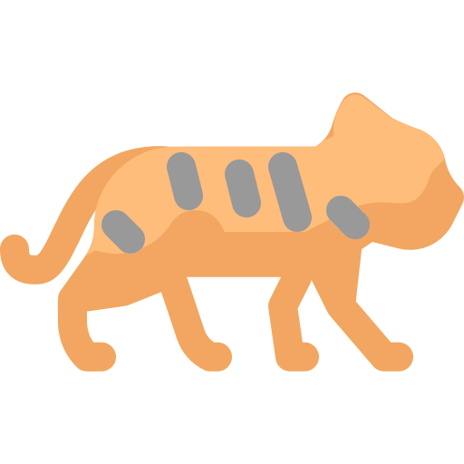 Tiger icon