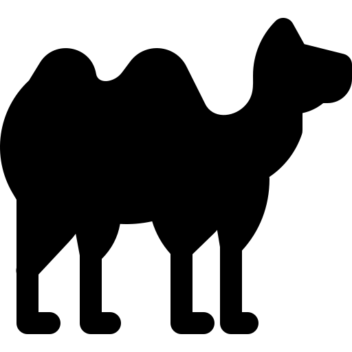 Camel Symbol