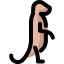 Meerkat Symbol 64x64