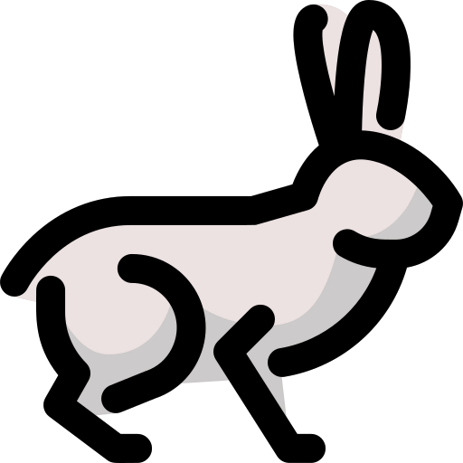 Rabbit icon