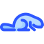 Beaver icon 64x64