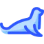 Seal icon 64x64