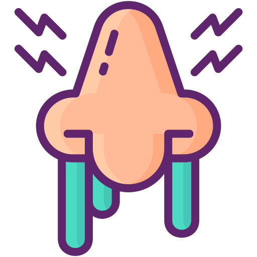 Sinus icon